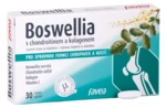 FAVEA Boswellia s kolagenem 30 tablet