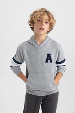 DEFACTO Boy's Hooded Thick Sweatshirt