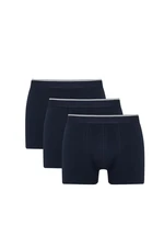 DEFACTO Regular Fit 3-Pack Boxer