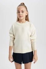 DEFACTO Girl's Crew Neck Knitwear Sweater