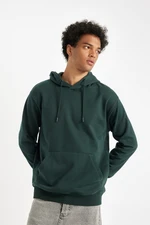 DEFACTO Regular Fit Hooded Basic Sweatshirt