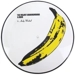 The Velvet Underground - Andy Warhol (feat. Nico) (Picture Disc LP)