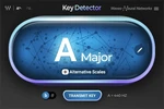 Waves Key Detector (Produit numérique)