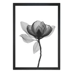 Plakat 24x29 cm Harmony Flower – Tablo Center