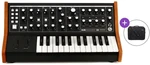 MOOG Subsequent 25 SET