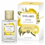 COLABO Citrus EDP 100 ml