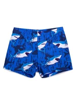 Yoclub Kids's Boys' Swimming Shorts LKS-0059C-A100