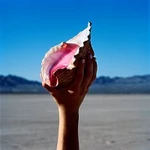 The Killers – Wonderful Wonderful LP