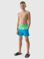 4F Boys' Boardshorts Beach Shorts - Blue