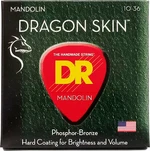 DR Strings DSM-10 Mandolin húr