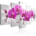 Obraz - Abstract Garden: Pink Orchids