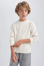 DEFACTO Boy Regular Fit Crew Neck Pullover