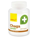 WOLFBERRY Chaga extrakt 120 kapslí