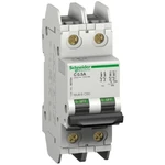 Jistič Schneider Electric Acti9 C60N2P 1A C UL 489 60135