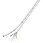 Síťový kabel Conrad CAT6 H21204C18, nestíněný, 25 m, bílá
