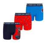 Boxer da ragazzo Licensed