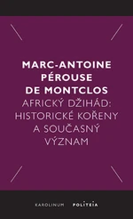 Africký džihád - Marc-Antoine Pérouse de Montclos - e-kniha