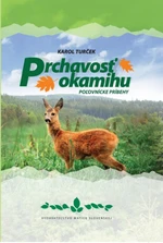 Prchavosť okamihu - Karol Turček