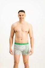 Men's boxers Frogies Zodiac Cancro