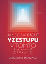 Jak dosáhnout vzestupu v tomto životě - Joshua David Stone