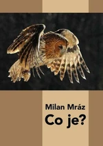 Co je? - Milan Mráz - e-kniha