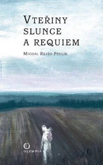 Vteřiny slunce a requiem - Pavlík Michal Rejžo