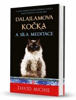 Dalajlamova kočka a síla meditace - David Michie