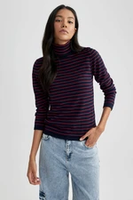 DEFACTO Regular Fit Turtleneck Pullover