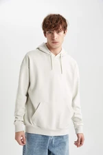 DEFACTO Oversize Fit Long Sleeve Sweatshirt