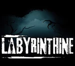 Labyrinthine EU Steam CD Key
