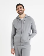 Grey men's hooded sweatshirt Celio