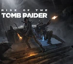 Rise of the Tomb Raider - Season Pass Steam Altergift