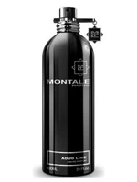 Montale Aoud Lime - EDP 2 ml - odstřik s rozprašovačem