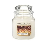 Yankee Candle Aromatická svíčka Classic střední All Is Bright 411 g