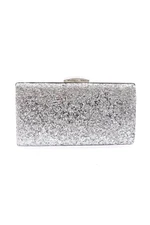 DGN 273-22y Women's Evening Dress Clutch Bag Sequin Silver