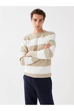 LC Waikiki Crew Neck Long Sleeve Striped Men's Knitwear Sweater