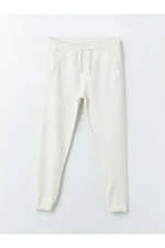 LC Waikiki Slim Fit Men's Jogger Sweatpants