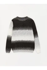 LC Waikiki Lcw Crew Neck Color Block Long Sleeve Boy's Knitwear Sweater