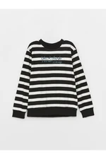 LC Waikiki Crew Neck Striped Long Sleeve Boys' T-Shirt