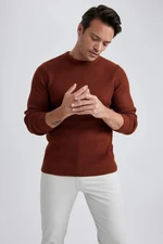 DEFACTO Standard Fit Regular Cut Crew Neck Basic Plain Knitwear Sweater