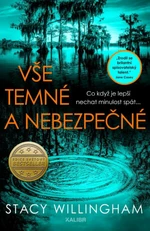 Vše temné a nebezpečné - Stacy Willingham