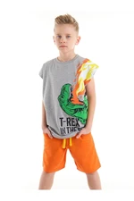 Mushi T-Rex Flame Boys Child Gray T-Shirt Orange Shorts Set