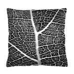 Bertoni Home Unisex's Square Pillow Tkanka