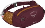 Osprey Seral 4 Aprium Purple Marsupio