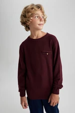 DEFACTO Boy's Crew Neck Knitwear Sweater