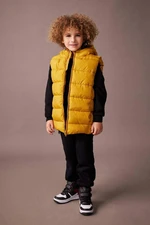 DEFACTO Boy's Water Repellent Hooded Basic Puffer Vest A1765a823au