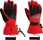 Spyder Mens Overweb GTX Spyder Red S Guantes de esquí