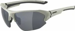 Alpina Lyron HR Cool/Grey Matt/Black Okulary sportowe