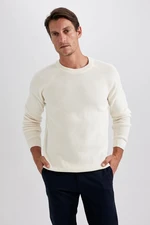 DEFACTO Standard Fit Regular Cut Crew Neck Basic Plain Knitwear Sweater