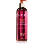 Mielle Pomegranate & Honey hydratačný kondicionér pre jednoduché rozčesávanie vlasov 355 ml